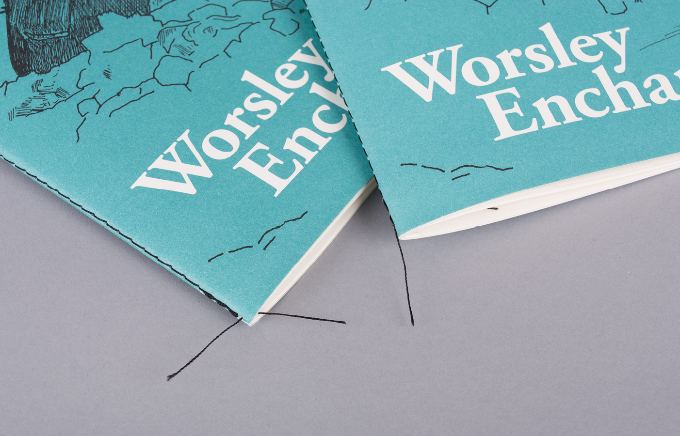 Worsley Enchanted poetry book