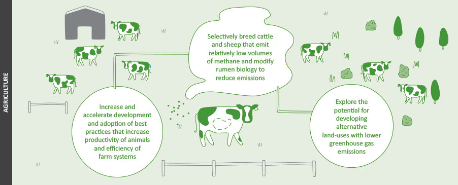 Gusto-RSNZ-low-carbon-economy-gif