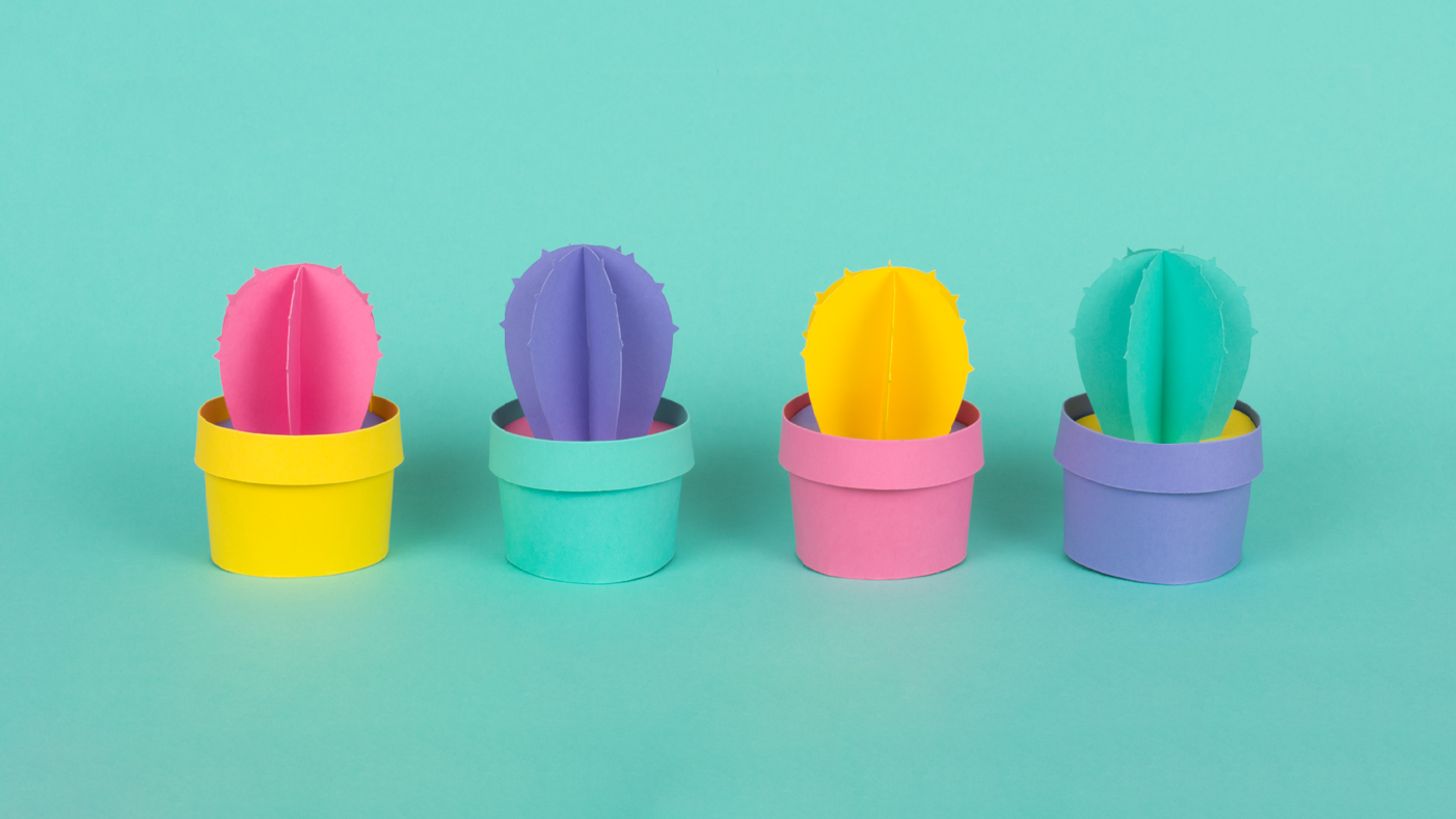 Paper bud cacti