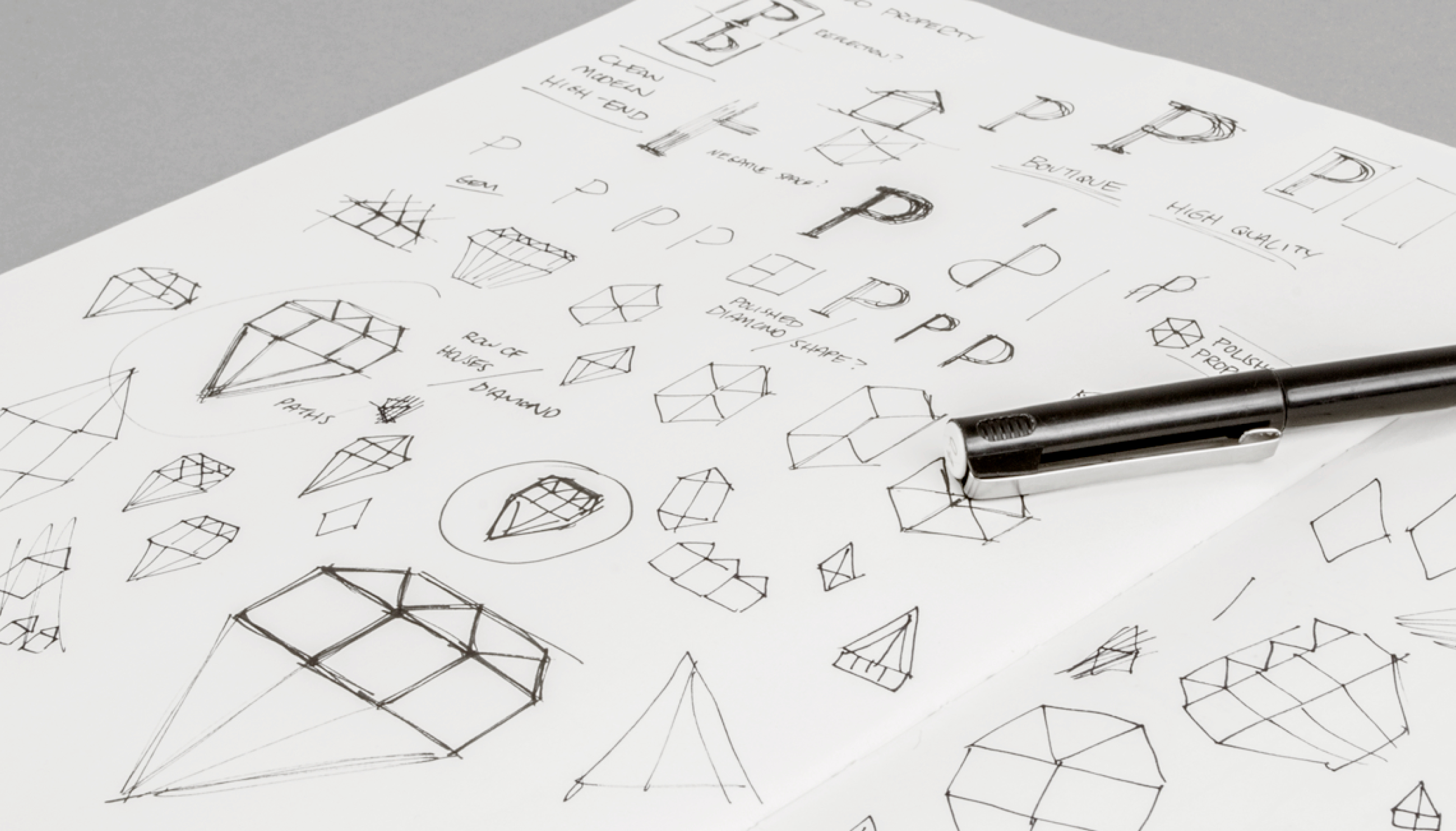 Sketches of PPM logo