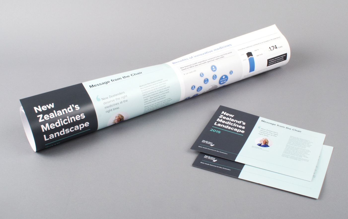 New Zealand's Medicines Landscape poster and handout
