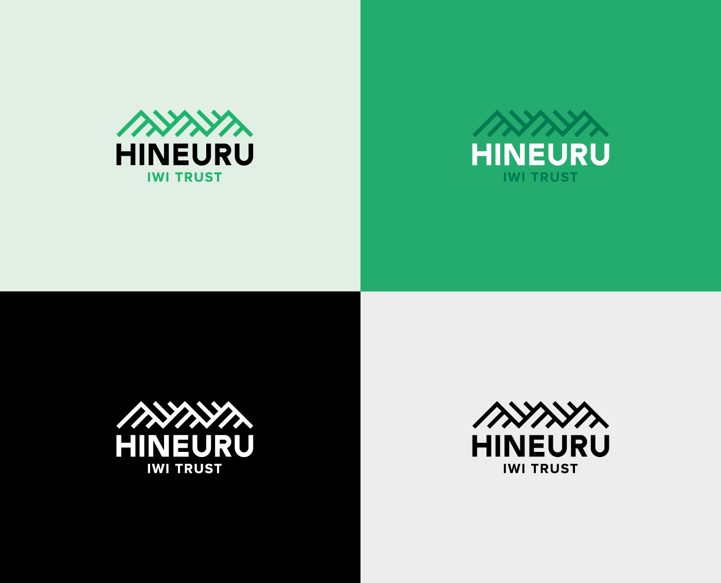 Hineuru Iwi Trust logo