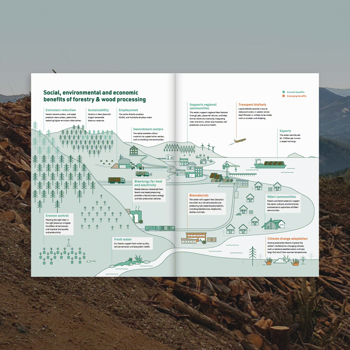 Design Infographic
