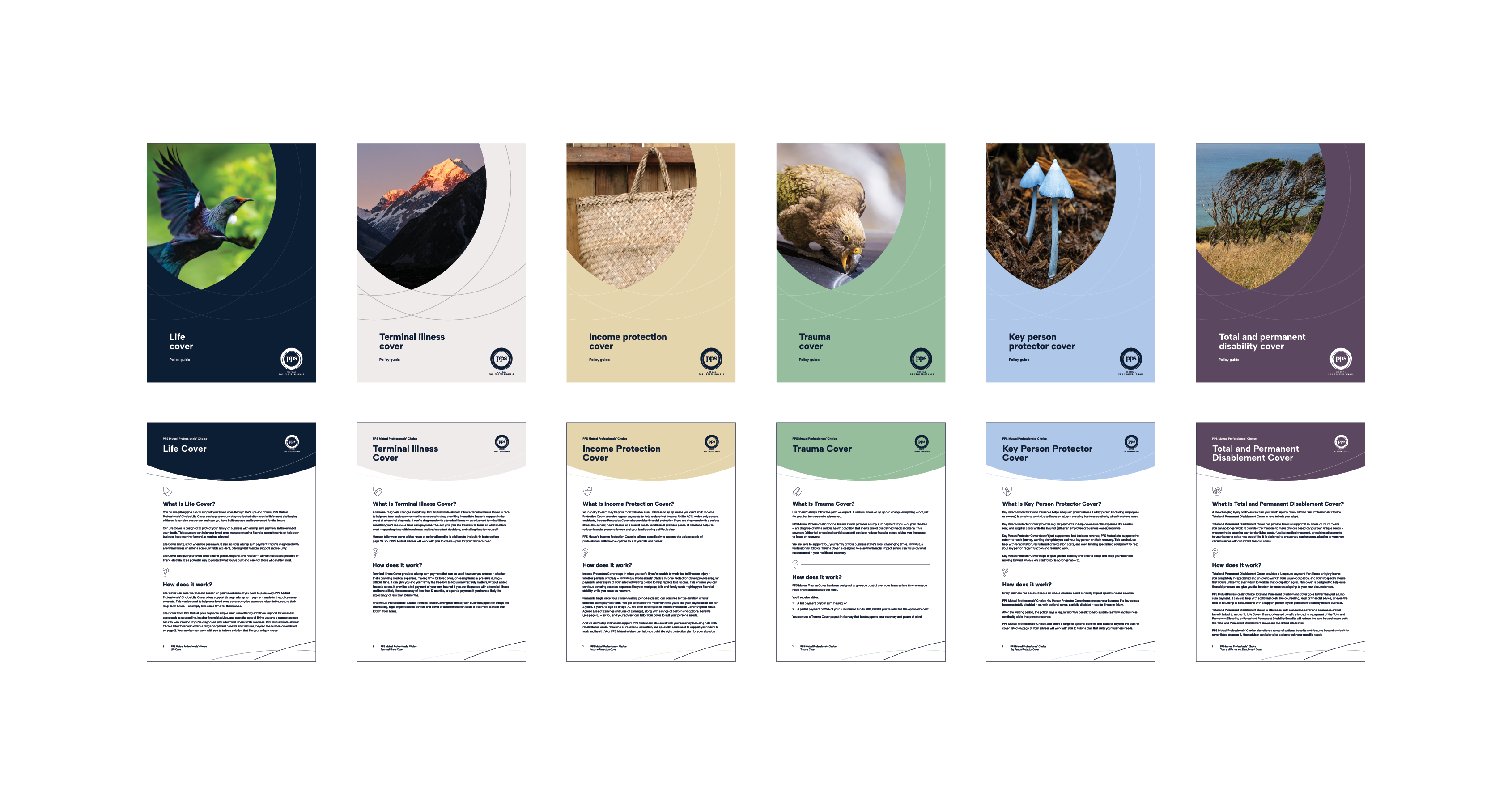 Six different policy document covers using flora and fauna of New Zealand, including a tui, Mt Aoraki, kete basket, kea, blue mushrooms and kanuka trees.