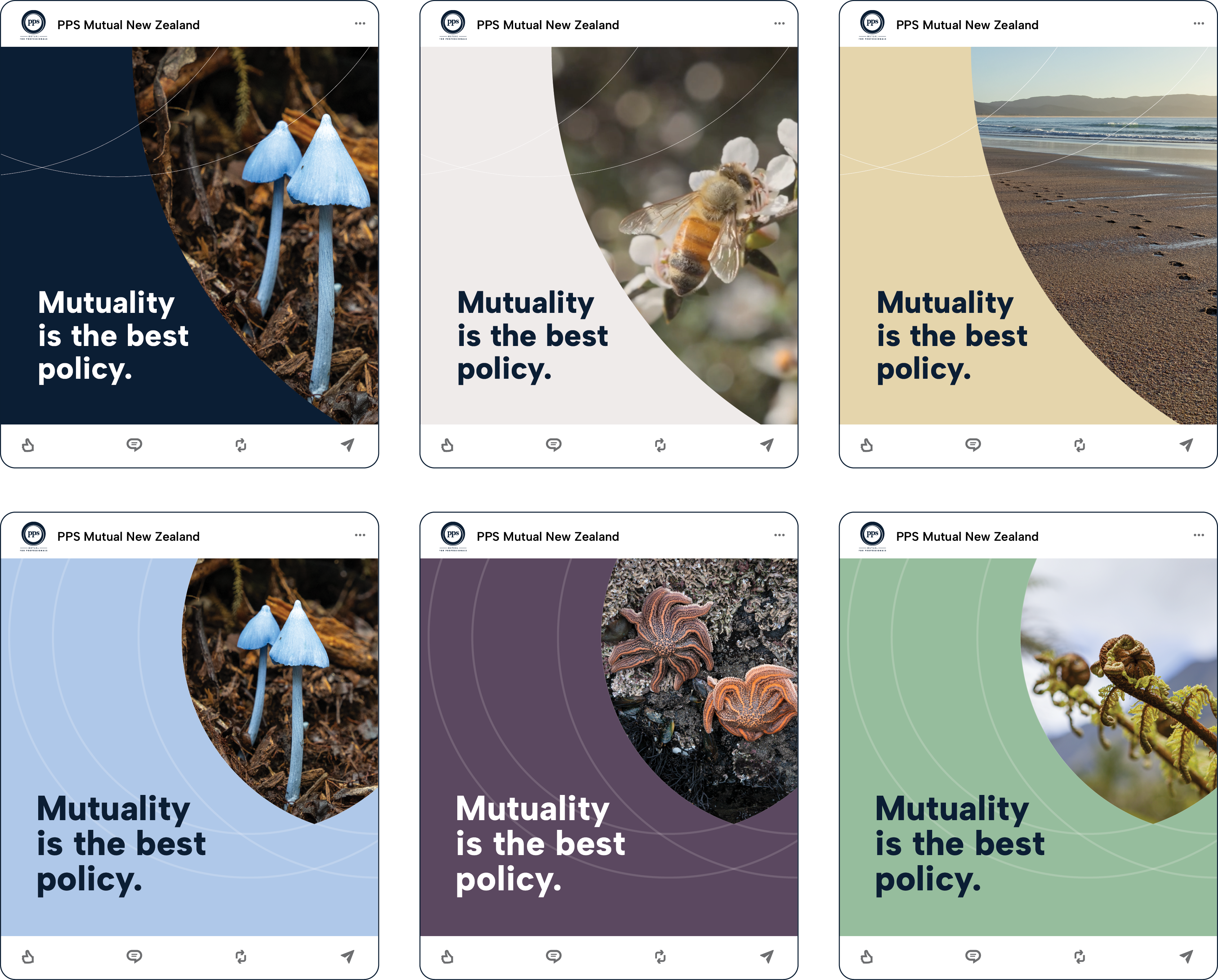 LinkedIn posts using the brand graphics, including blue mushrooms, bee, beach, starfish and fern fronds with the words 'Mutuality is the best policy'.