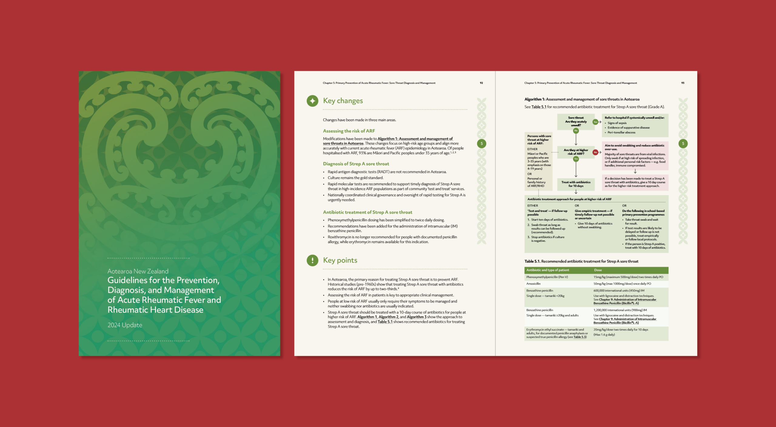 Spreads from the Acute Rheumatic Fever and Rheumatic Heart Disease Guidelines